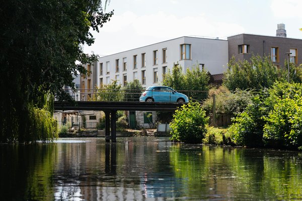 Quels sont les meilleurs conseils pour un camping en région de forêts de chênes?