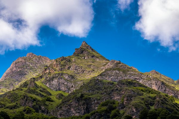 Comment organiser un séjour en Toscane avec des cours de cuisine et des visites de fermes locales?
