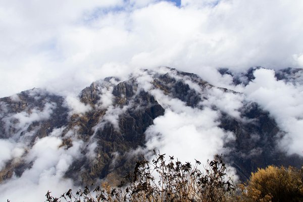 Quels sont les meilleurs spots pour observer les flamants roses dans la lagune de Chott el Jerid, Tunisie : saisons et conseils ?