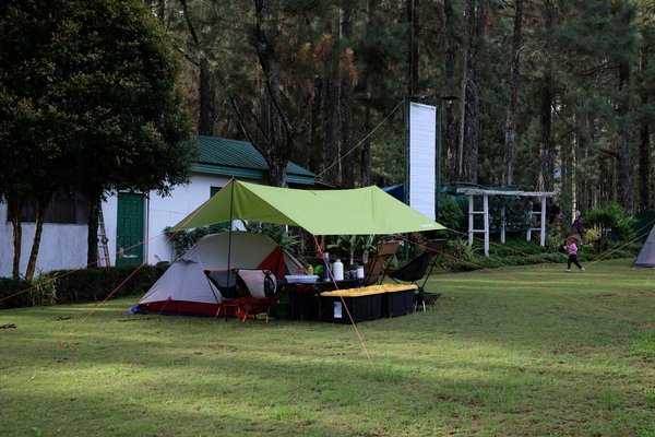 Holiday green : une expérience inoubliable au meilleur camping de fréjus